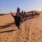 fes desert tour to marrakech