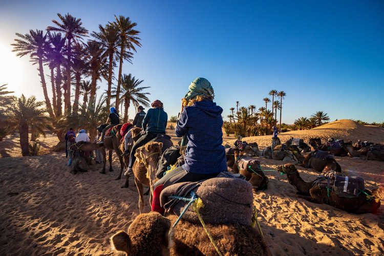 Paseo en camello y noche en el desierto Merzouga en Marruecos