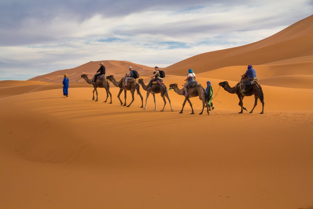 Overnight Camel trek Merzouga