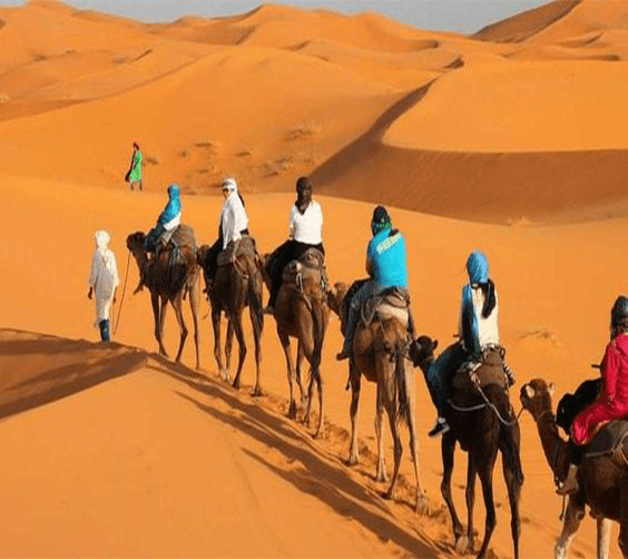 2 Nights camel trekking in Merzouga desert