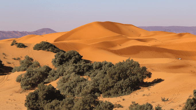 El cautivador desierto del Erg Chebbi Marruecos - erg chebbi merzouga - Desierto de Erg Chebbi - Cosas que ver en Erg Chebbi desierto