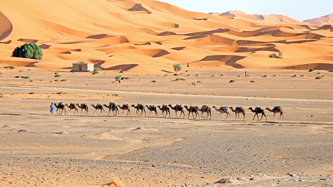 Erg Chebbi desierto es un lugar que visitar en Marruecos