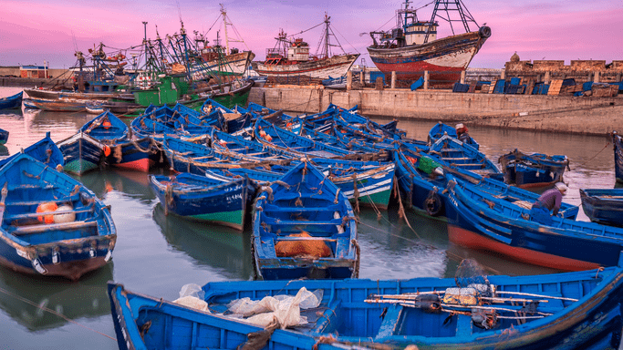 a Tourist Essaouira Fishing port Attractions