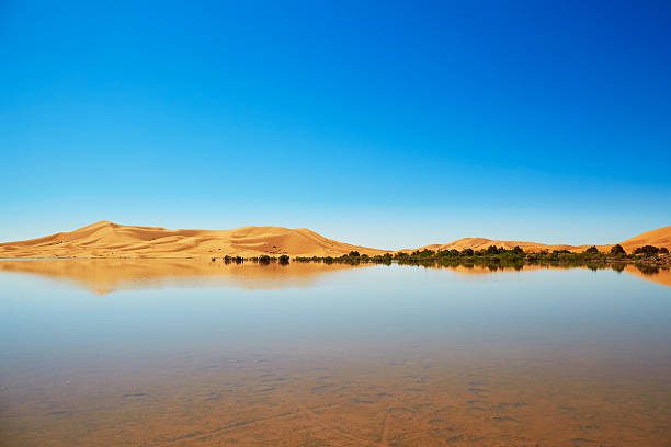 Oasis lake in the Sahara desert of Morocco