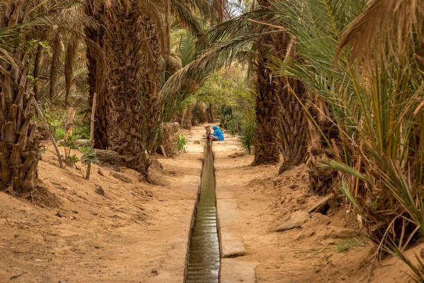 Paseo en el oasis del desierto de Merzouga