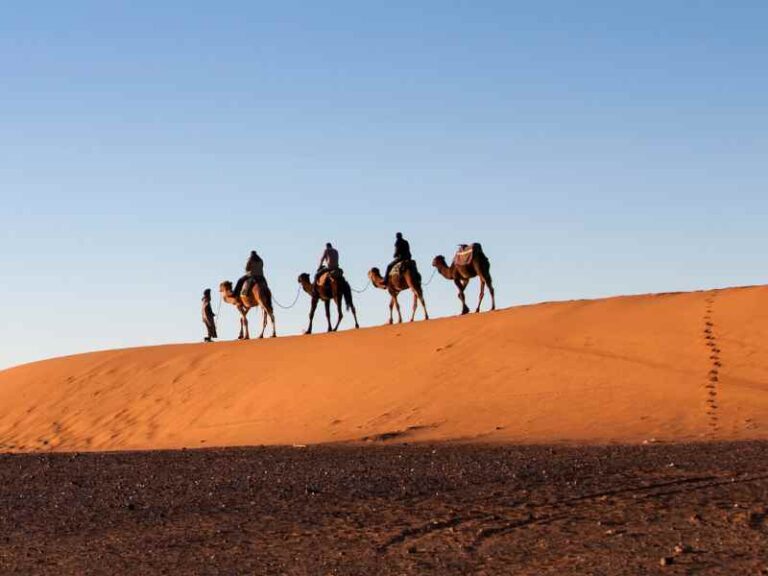 8 Days Tour From Marrakech To Sahara Desert