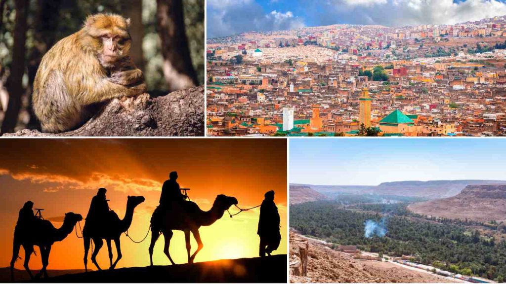 8 días en Marruecos, Ruta desde Fez a Marrakech, Viaje al desierto