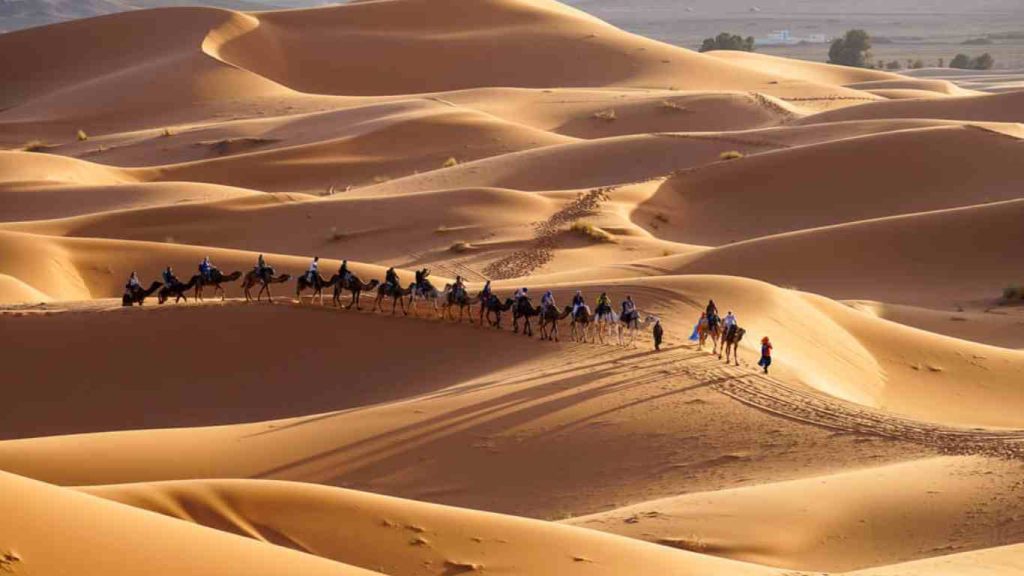 Merzouga Actividades en el desierto y 10 mejores cosas que hacer, Excursiones, visitas guiadas y actividades en Merzouga