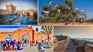 Excursión de un dia a Essaouira desde Marrakech