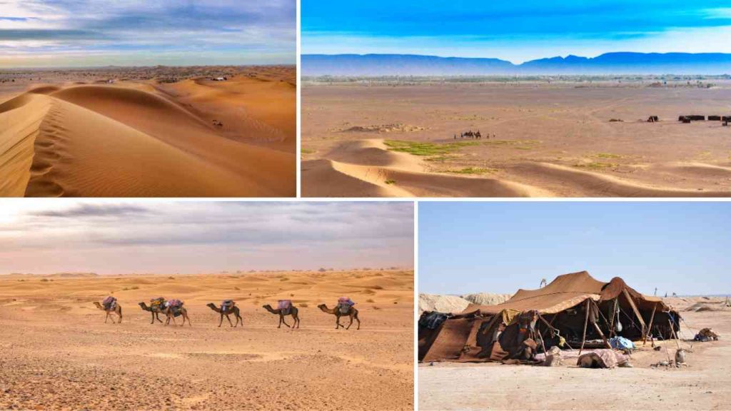 The best Desert Sahara tour in Morocco to Visit Zagora