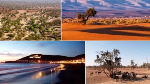 Excursión de un día desde Agadir al desierto del Sahara