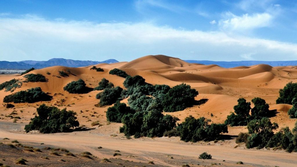Oasi nel deserto del Marocco a Hassi Labied