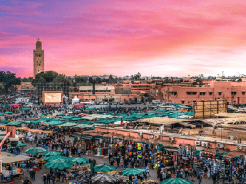Day trip from Casablanca to Marrakech