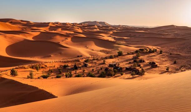 Erg Chebbi sahara desert Morocco