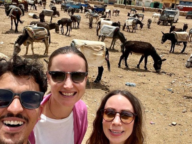 Ouarzazate desert Tours