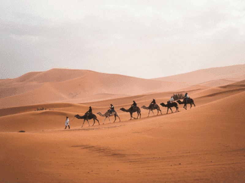 0Desert Tour from Marrakech to Fes 5 Days in Morocco Itinerary