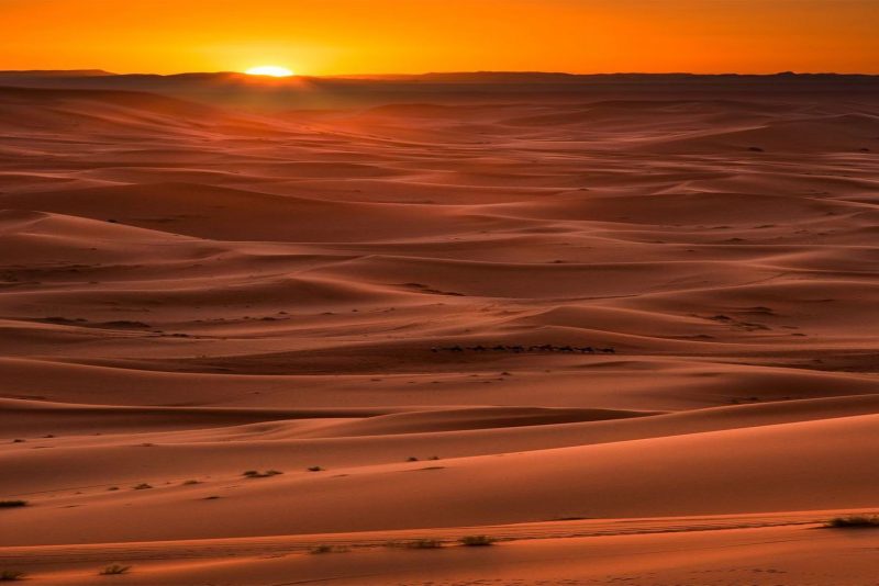 sunset camel trek