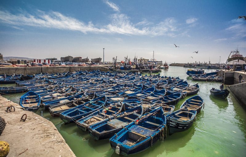 day trip from agadir to Essaouira