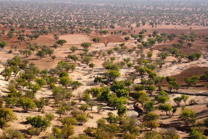 Agadir day trip to sahara Desert(small desert)