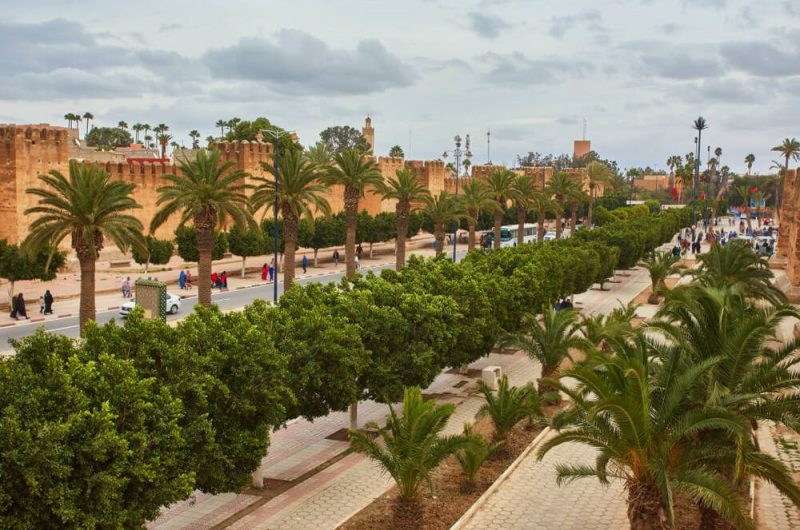 Private Taroudant Day trip from Agadir Private Taroudant day trip